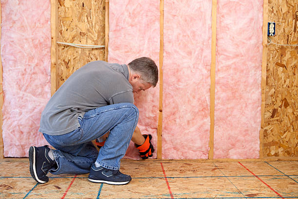 Best Insulation Materials and Products in West Samoset, FL